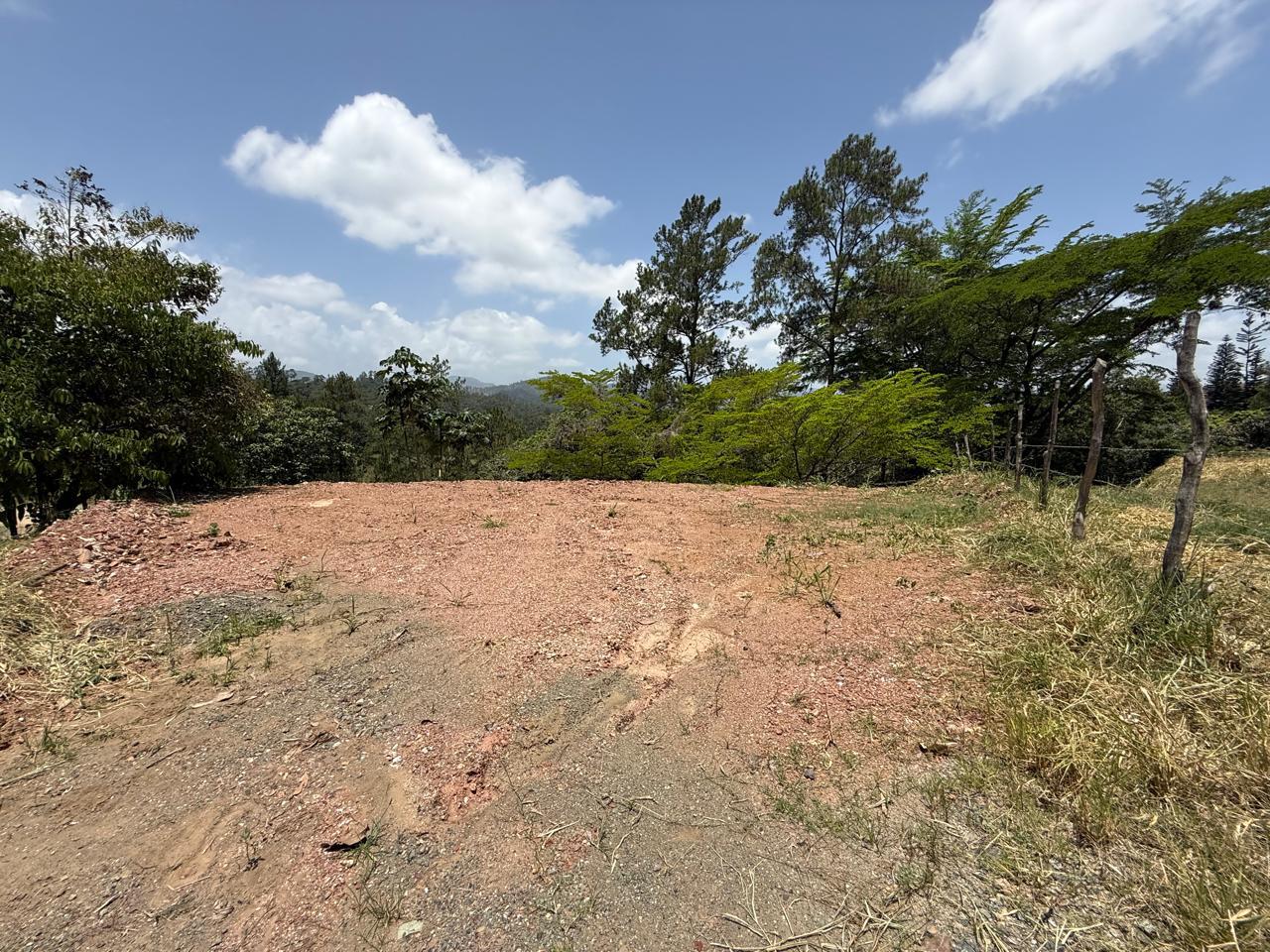 Terreno en Monte Bonito 4