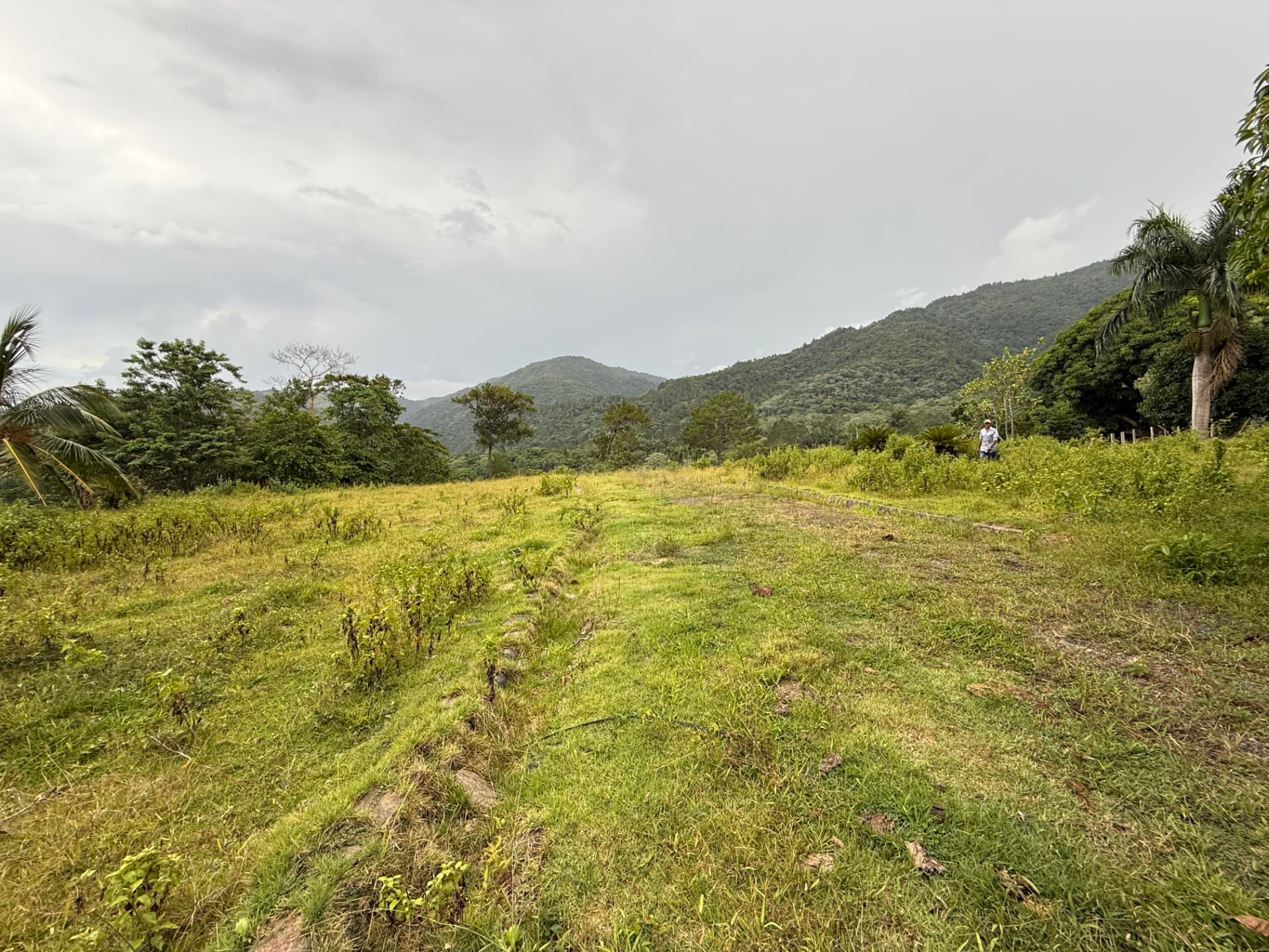 Land in Jarabacoa 3