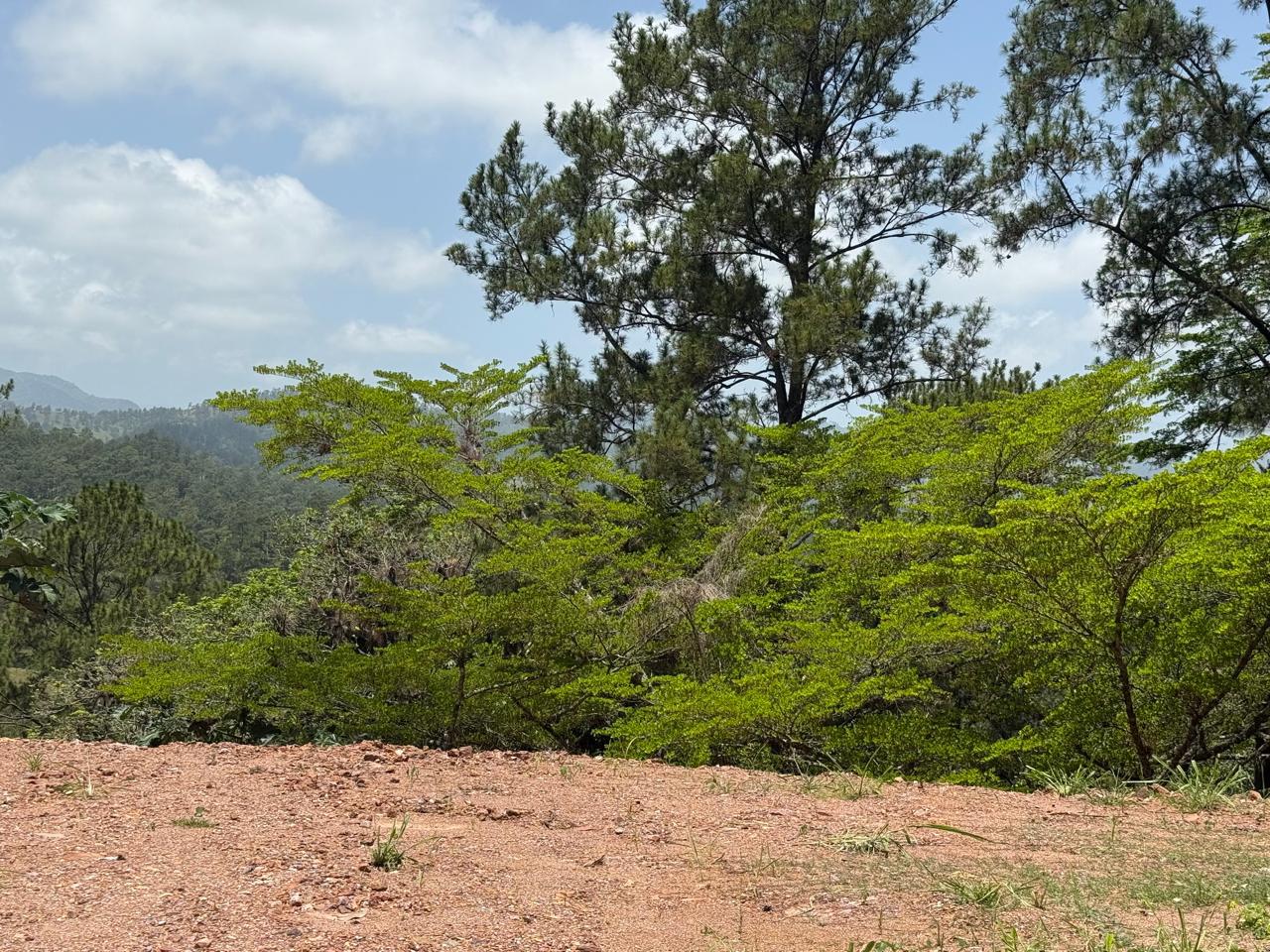 Terreno en Monte Bonito 2
