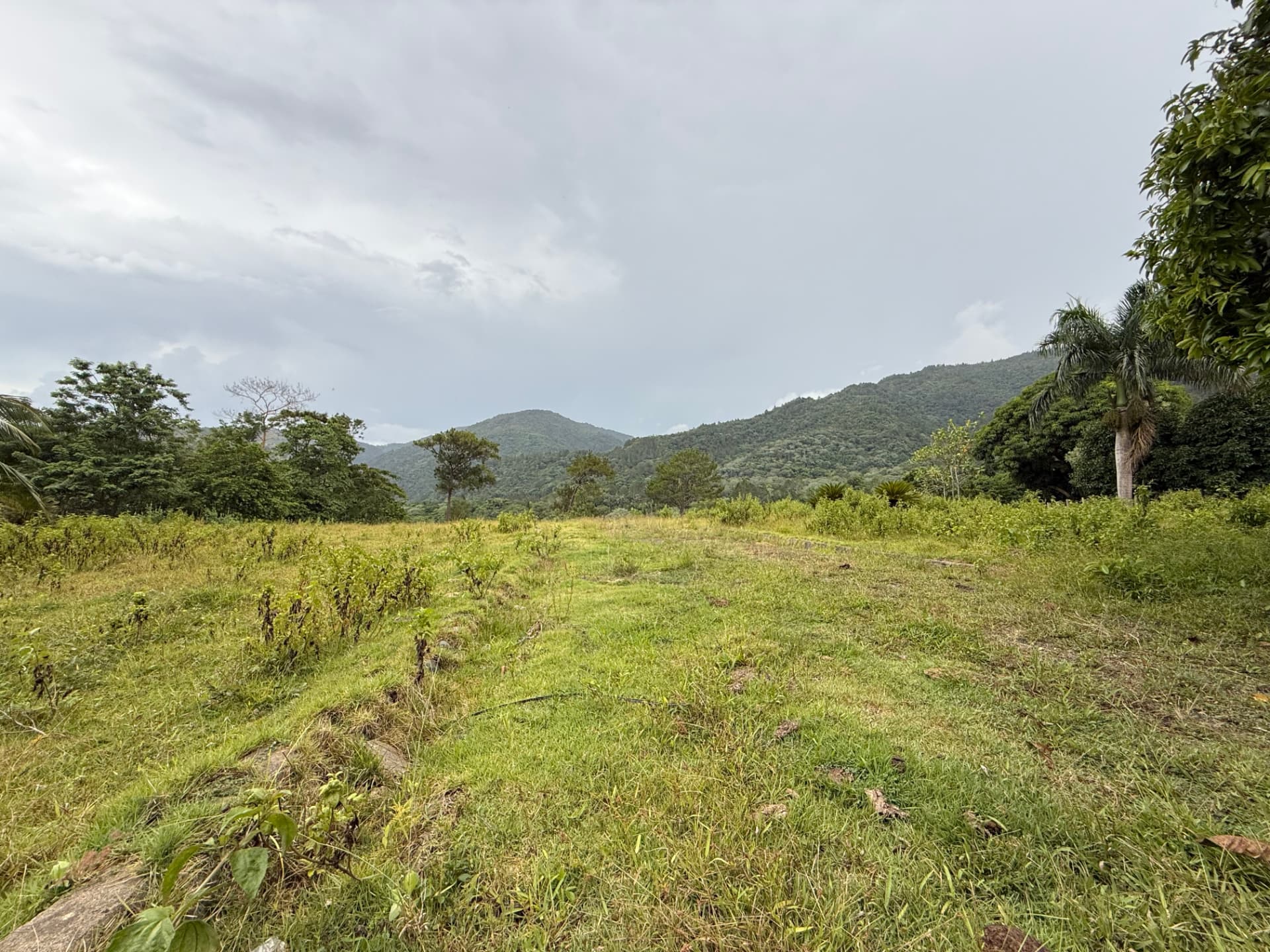 Land in Jarabacoa 6