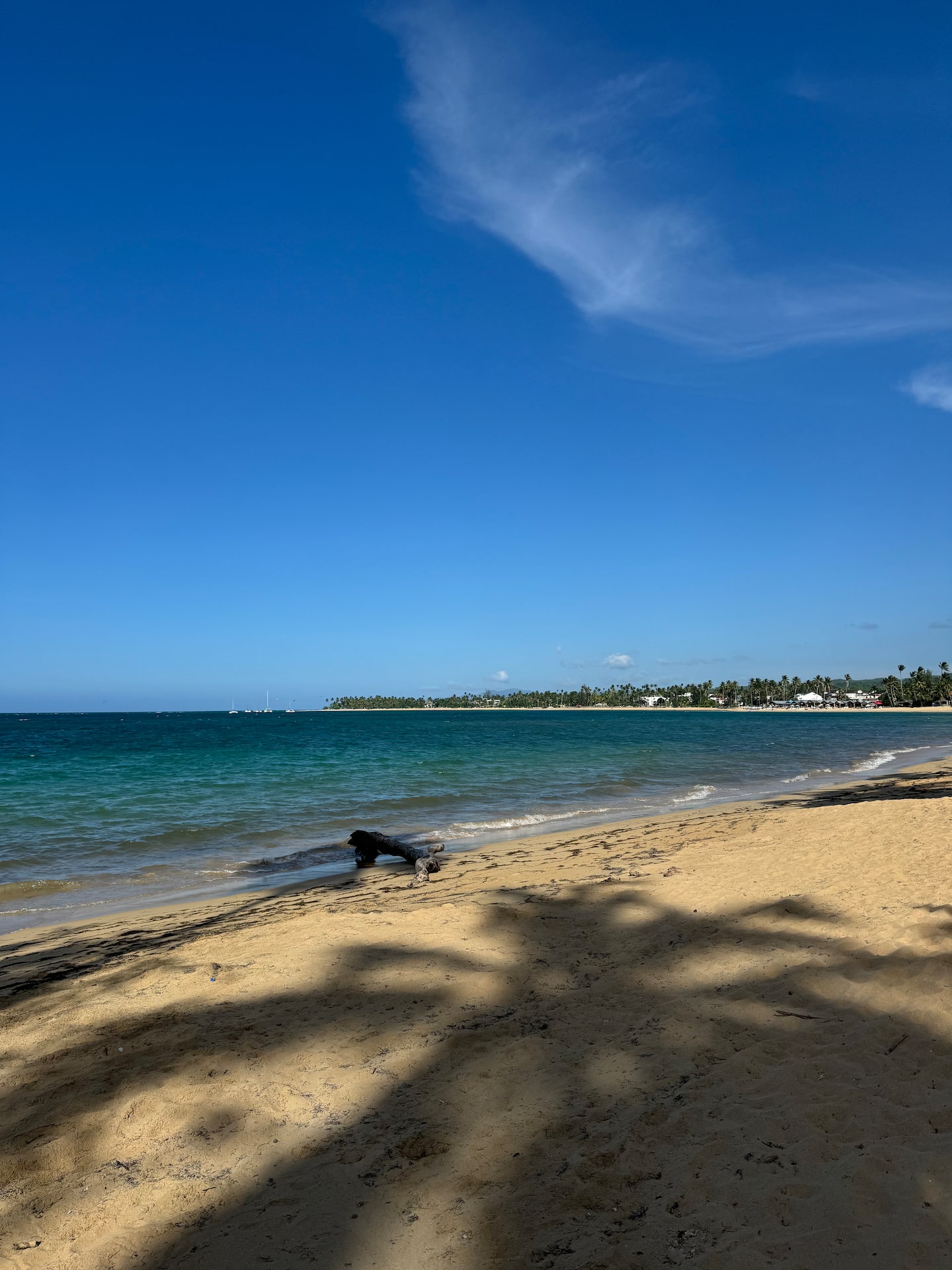 Apartamento Playa Las Ballenas 33