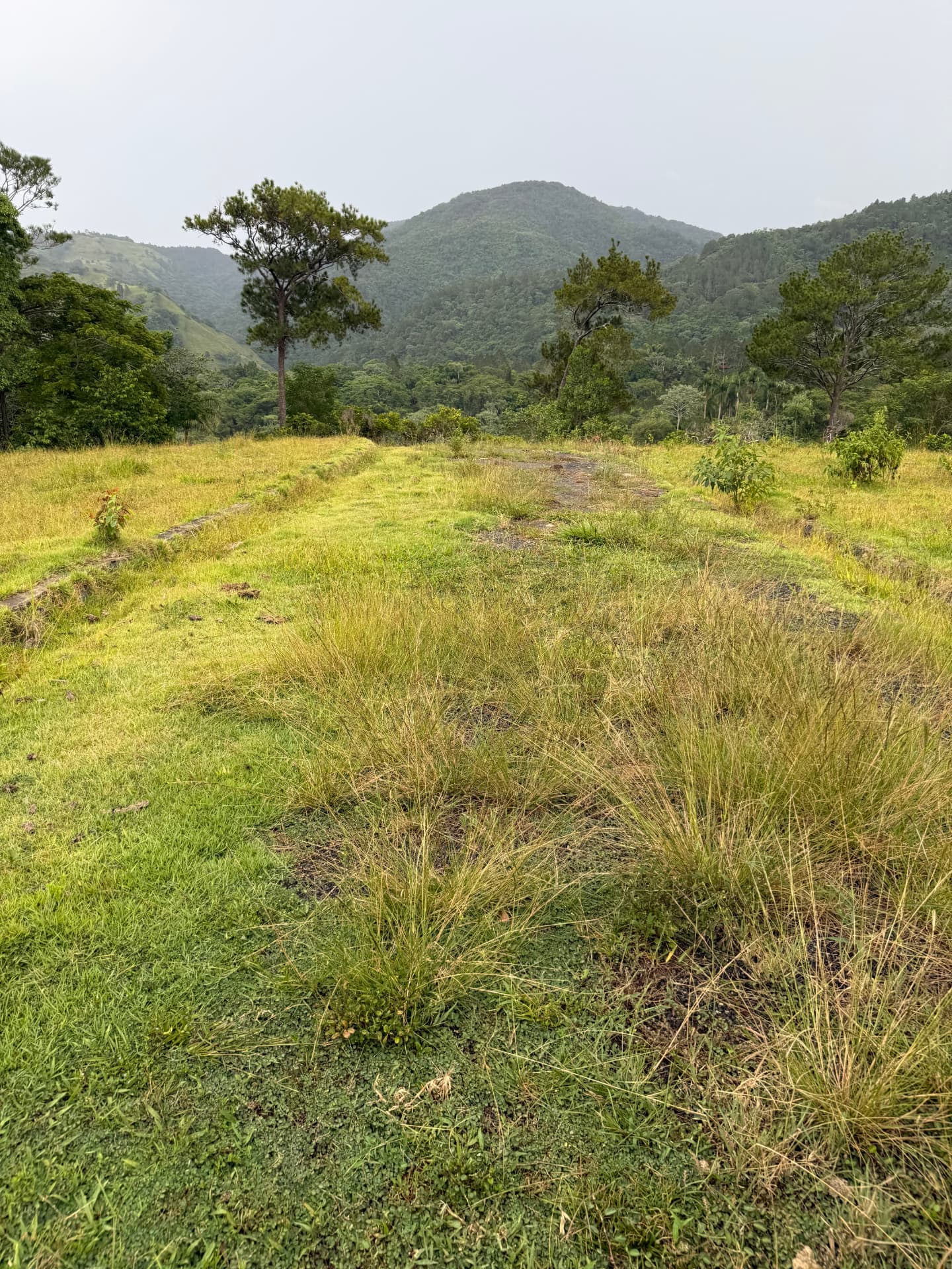 Land in Jarabacoa 7