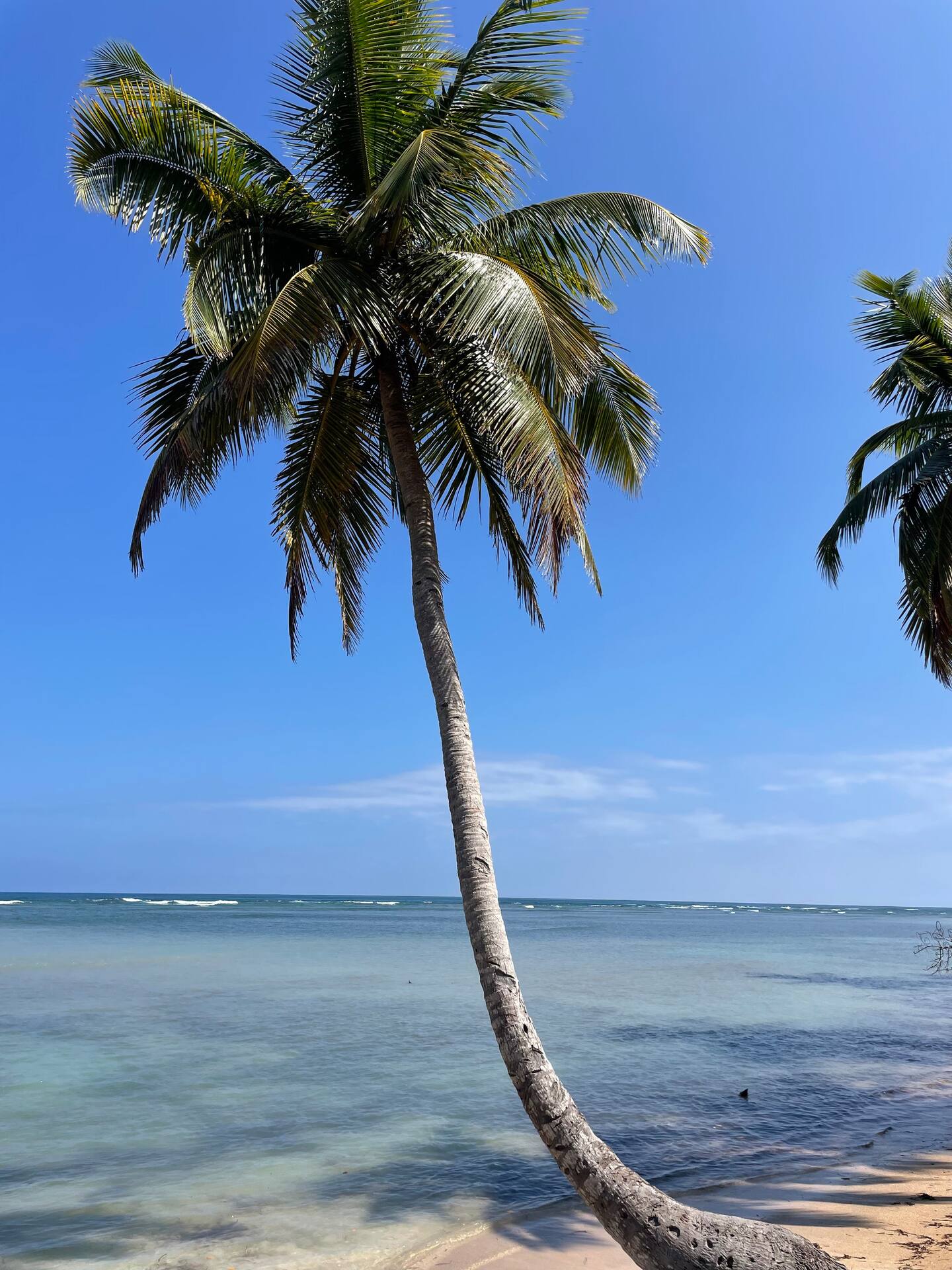 Apartamento Playa Las Ballenas 32